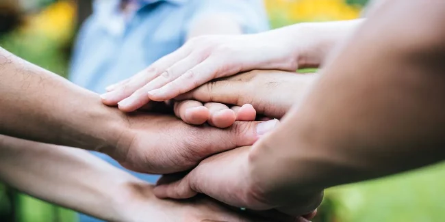 4518-1300×650-1920w